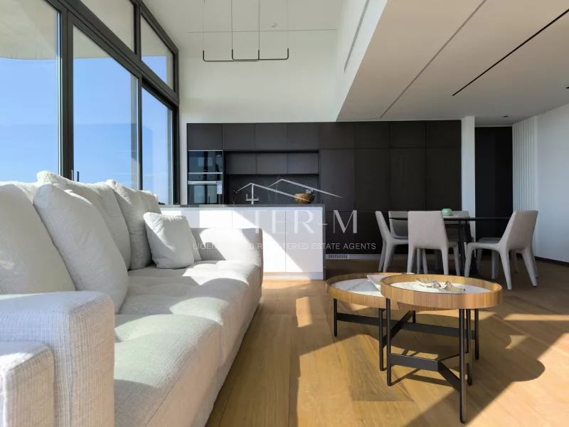 Luxury3 Bedroom Semi-Furnished Penthouse – Chrysopolitisa, Larnaca (3 Bedroom) φωτογραφία 3