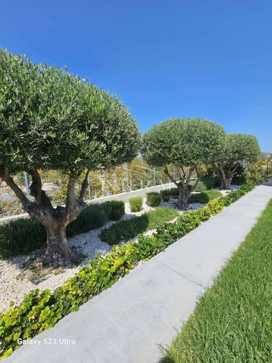 Villa House For Sale In Agia Marinouda, Paphos (4 Bedroom) photo 21