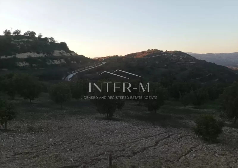 Residential Land For Sale In Dora, Limassol, Cyprus(5686 Sq.m) photo 2