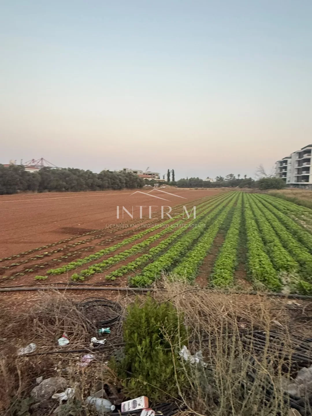 Residential Plot For Sale In Zakaki, Limassol, Cyprus (2559 Sq.m) φωτογραφία 9