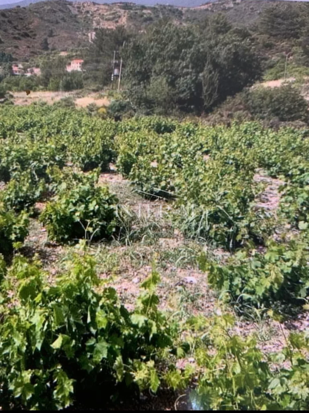 Agriculture Land In Mandria For Sale (7693 Sq.m)