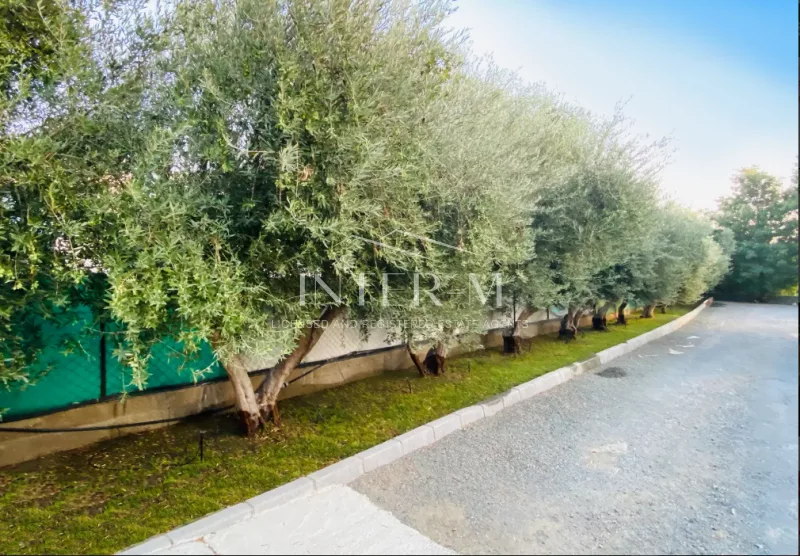 3-Bedroom Villa For Rent In Pyrgos, Limassol,Cyprus (3 Bedroom) photo 3