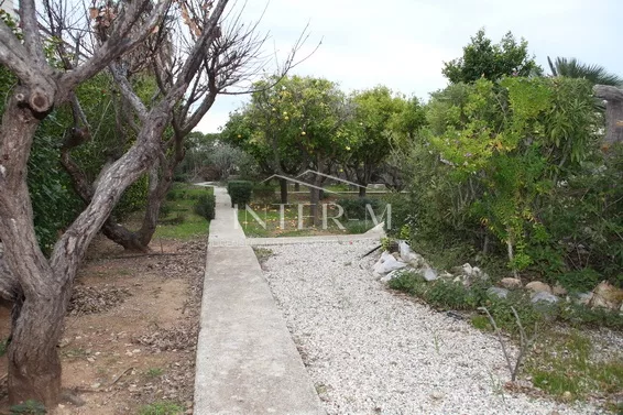 Villa For Sale In Paphos φωτογραφία 15