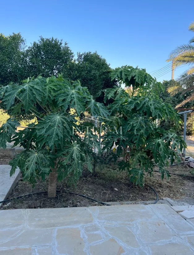 Beautiful House For Rent,Moni,Limassol  (3 Bedroom) photo 9
