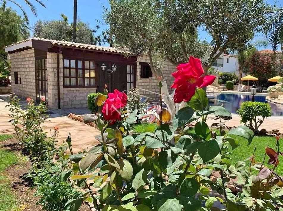 Luxury Studio For Rent In Anarita, Paphos, Cyprus(1 Bedroom)