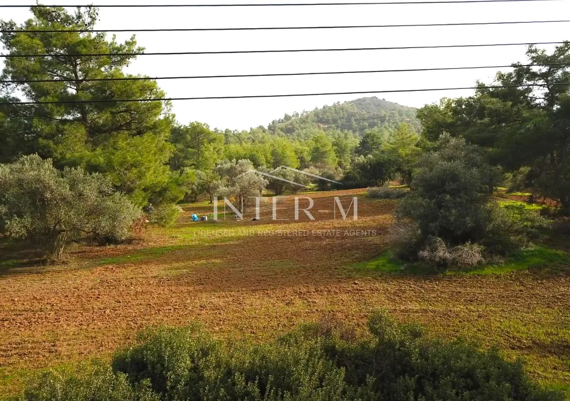 Residential Land For Sale In Pyrga, Larnaca, Cyprus(5352 Sq.m) photo 2