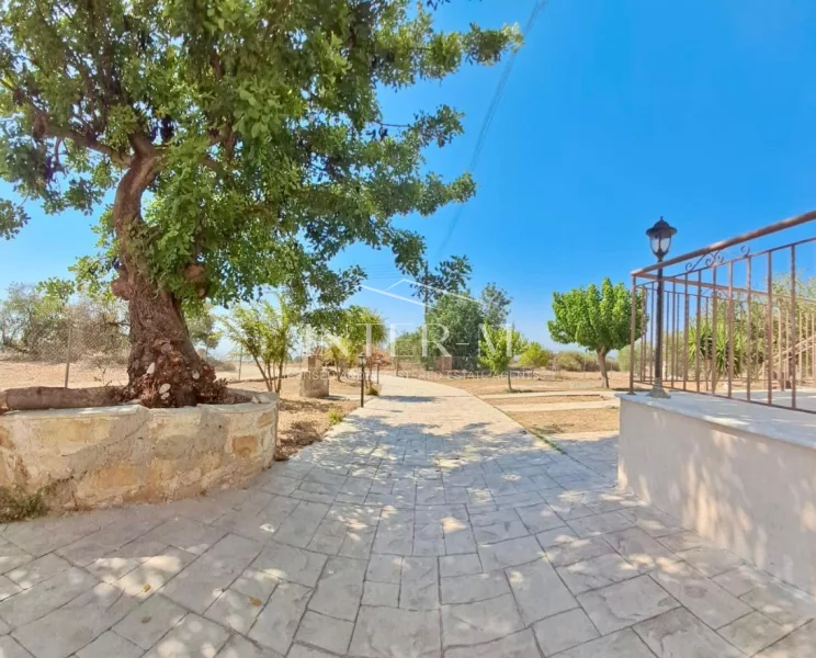 Classic 4-Bedroom Villa For Rent In Anogyra, Limassol, Cyprus photo 4