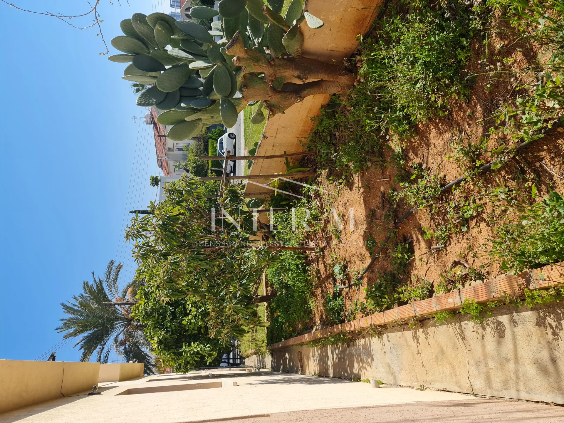 Villa In Agios Athanasios For Rent  (4 Bedroom) photo 18