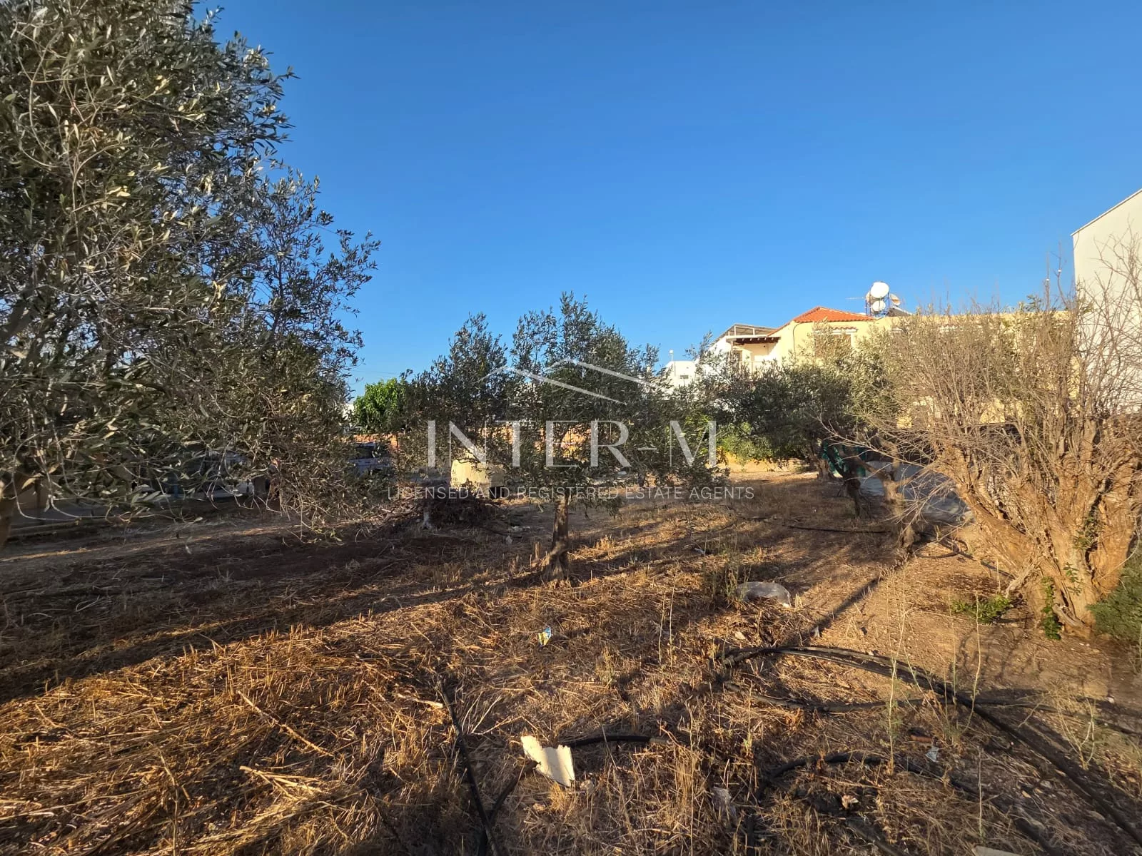 Unique 2-Bedroom Bungalow For Sale In Chloraka, Paphos, Cyprus φωτογραφία 12