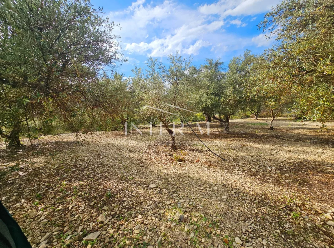 Amazing Land For Sale,In Kalavasos, Larnaca, Cyprus photo 30