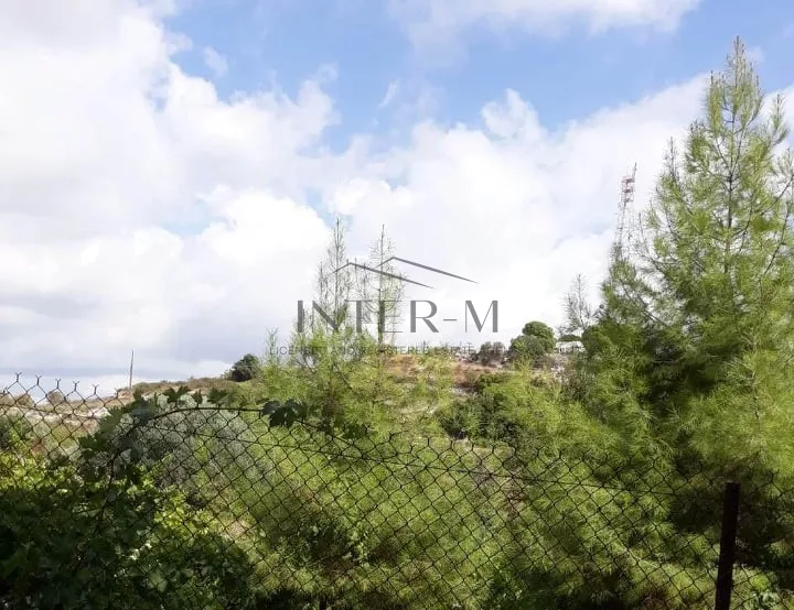 Residential Land And Small House For Sale In Pachna (2 Bedroom) φωτογραφία 4