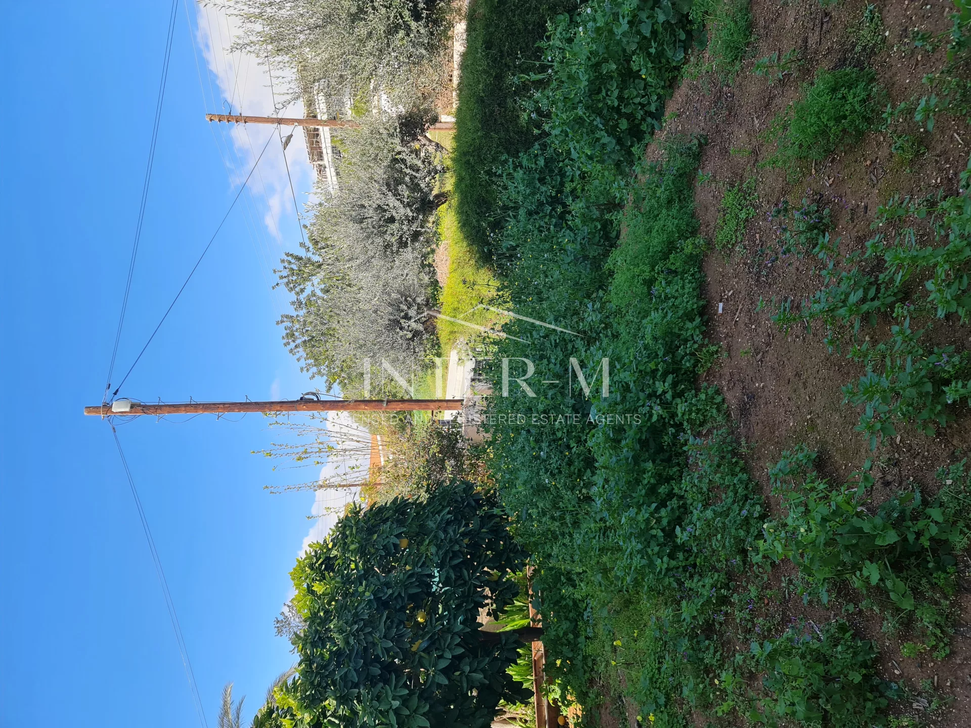 Villa In Agios Athanasios For Rent  (4 Bedroom) photo 20