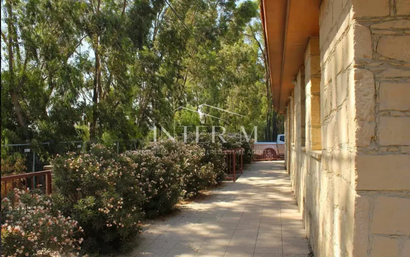 Detached House For Sale In Zakaki, Limassol – Prime Location Near The City Of Dreams Mediterranean Zakaki, Limassol, Cyprus (4 Bedroom) φωτογραφία 2