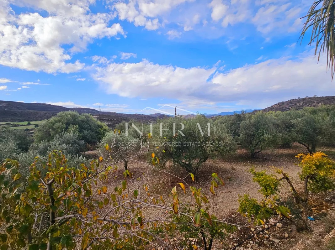 Amazing Land For Sale,In Kalavasos, Larnaca, Cyprus photo 12
