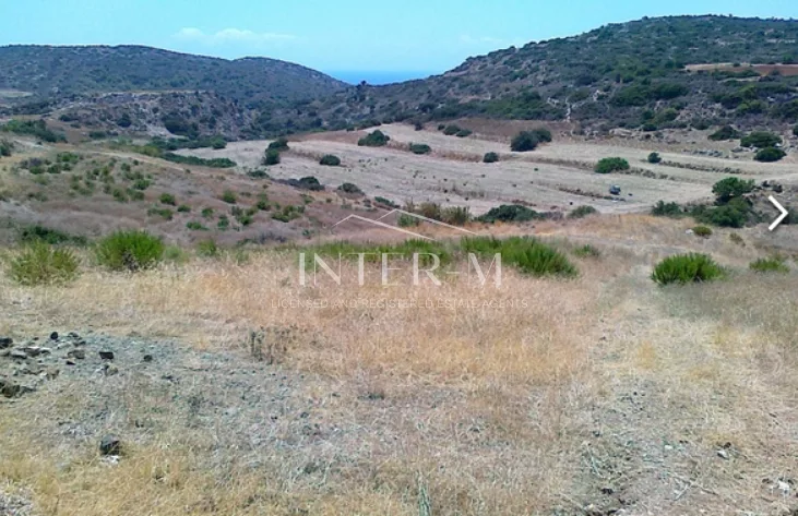 Agricultural Land For Sale In Parekliseia Limassol,Cyprus (5352 sq.m)