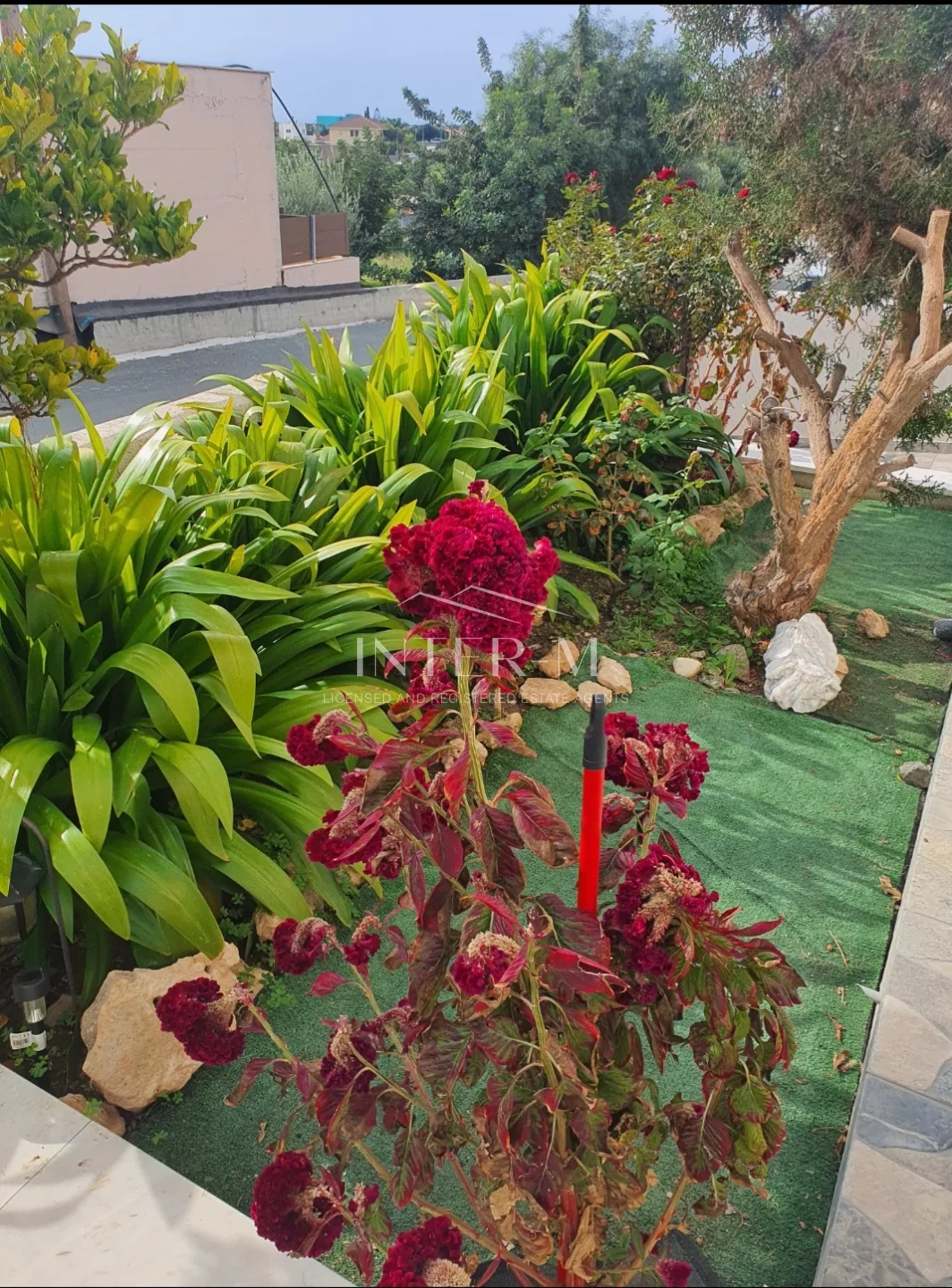 Detached House For Rent In Episkopi, Limassol, Cyprus  (4 Bedroom) (4 Bedroom) φωτογραφία 31
