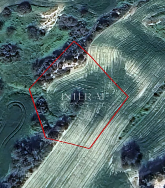 Residential Field For Sale – Agios Theodoros, Larnaca, Cyprus (2006 sq.m)