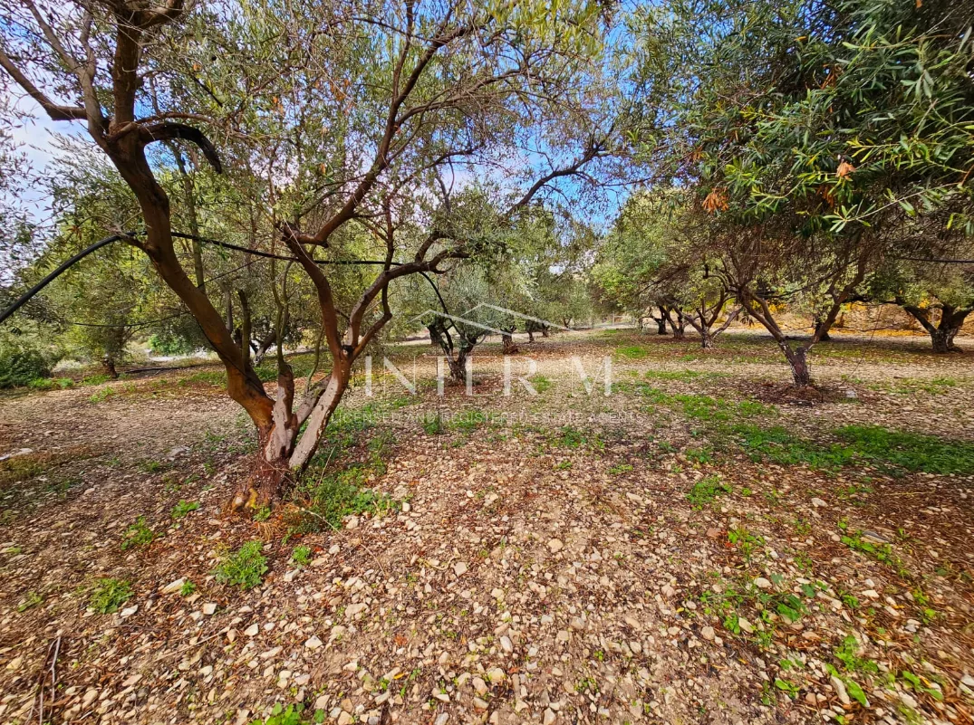 Amazing Land For Sale,In Kalavasos, Larnaca, Cyprus photo 9