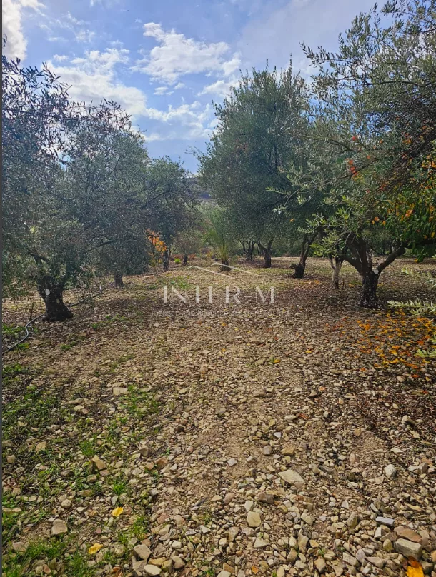 Amazing Land For Sale,In Kalavasos, Larnaca, Cyprus photo 32