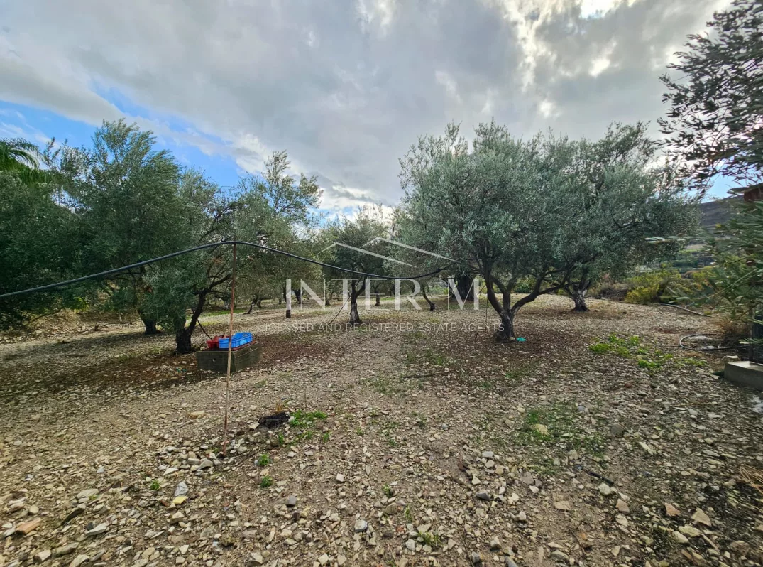 Amazing Land For Sale,In Kalavasos, Larnaca, Cyprus photo 7