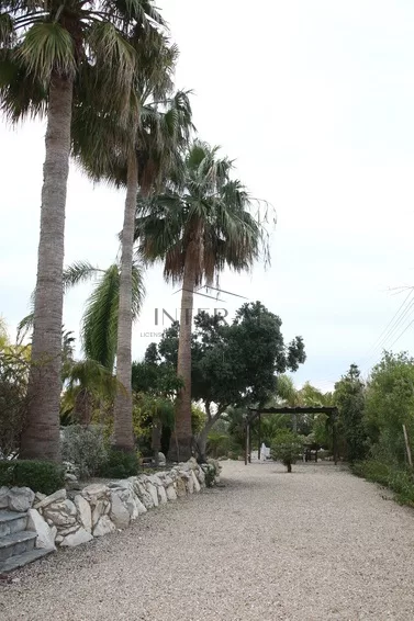 Villa For Sale In Paphos φωτογραφία 19