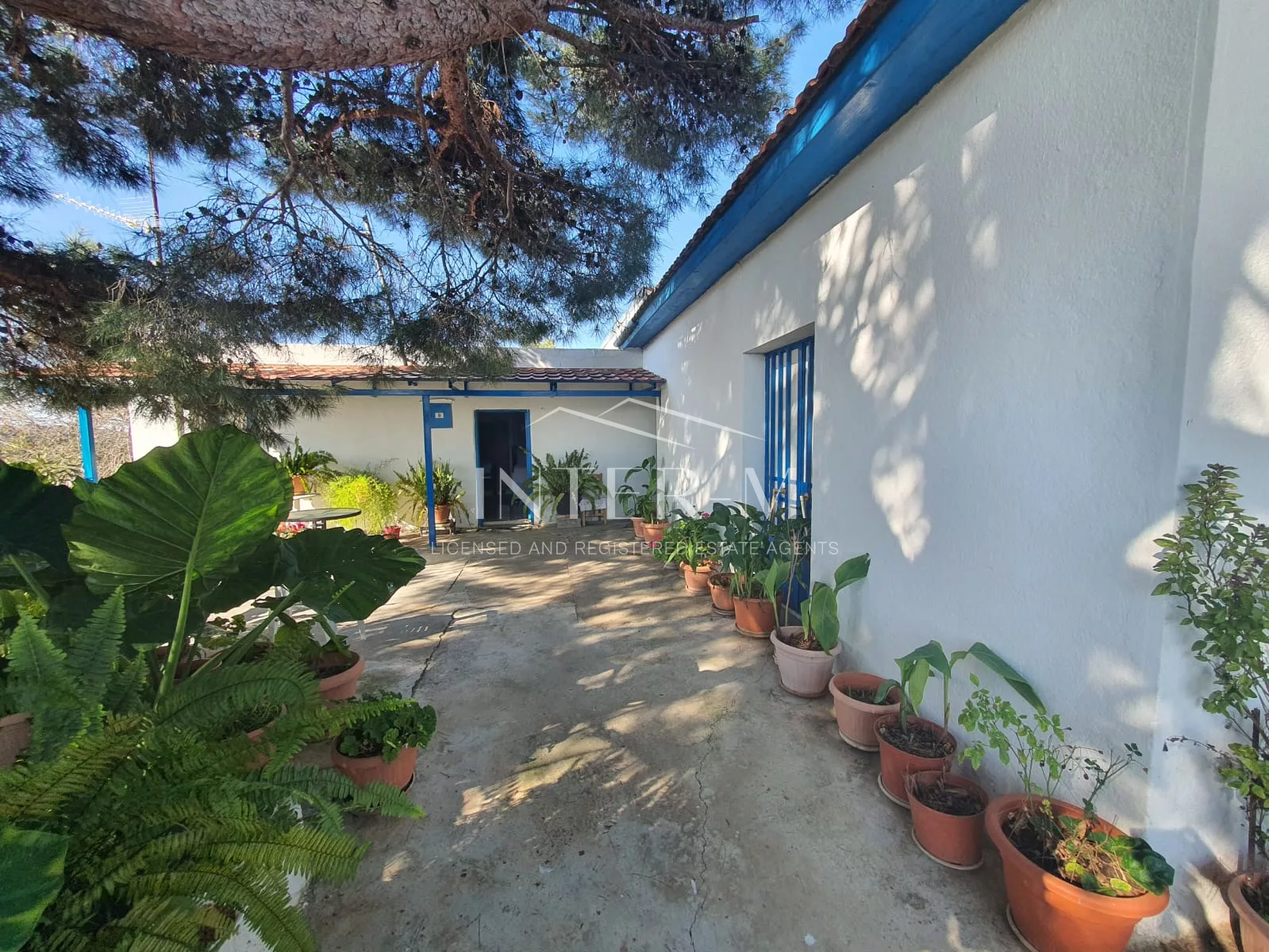 Residential Land And Small House For Sale In Pachna (2 Bedroom) φωτογραφία 42