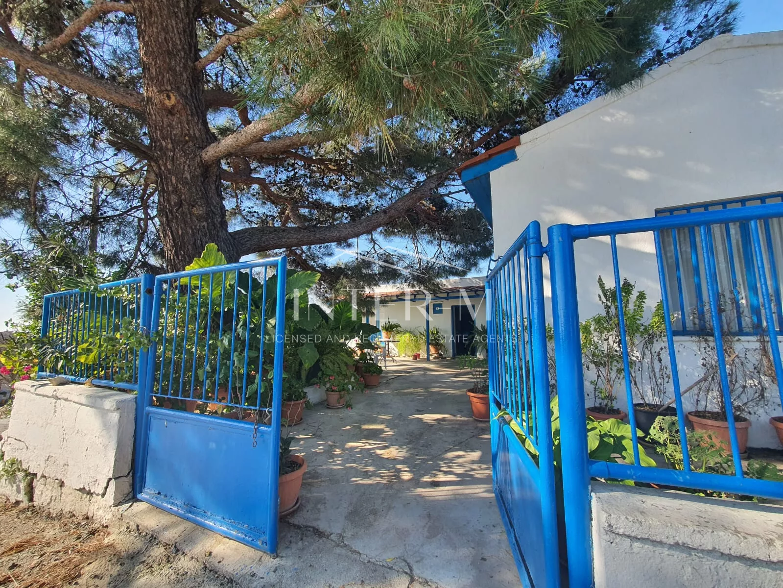 Residential Land And Small House For Sale In Pachna (2 Bedroom) φωτογραφία 39