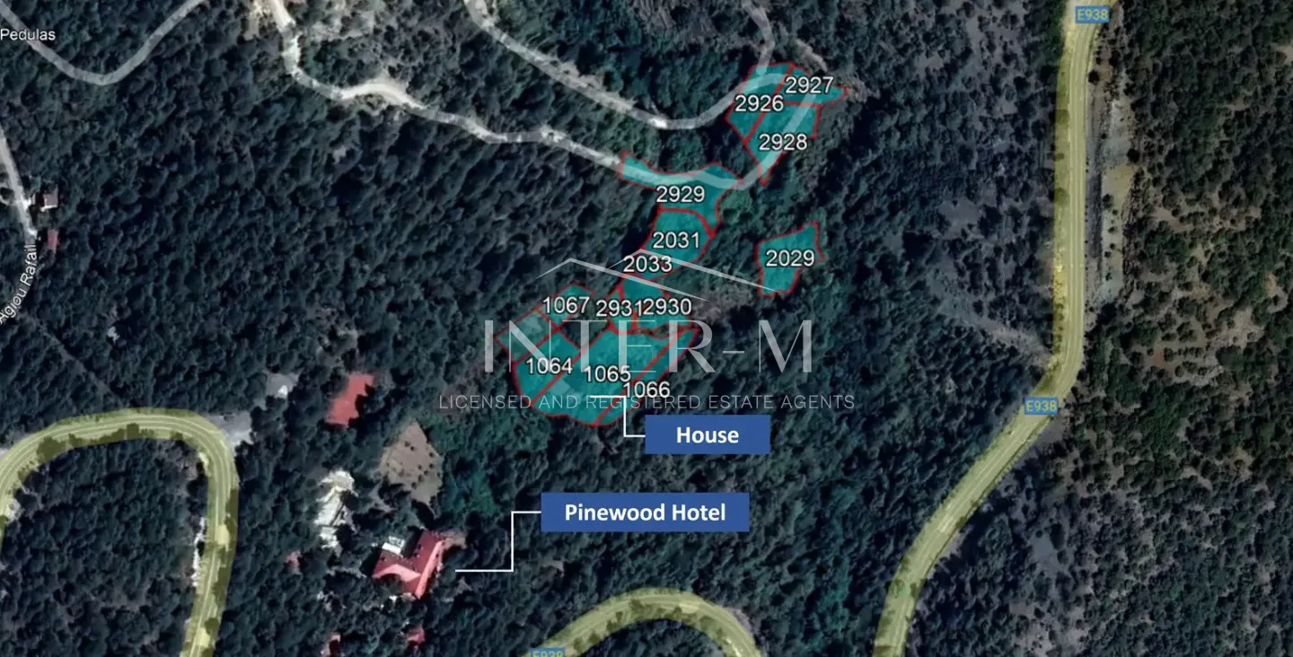 Charming Villa For Sale In Pedoulas, Nicosia, Cyprus(5 Bedrooms) φωτογραφία 6