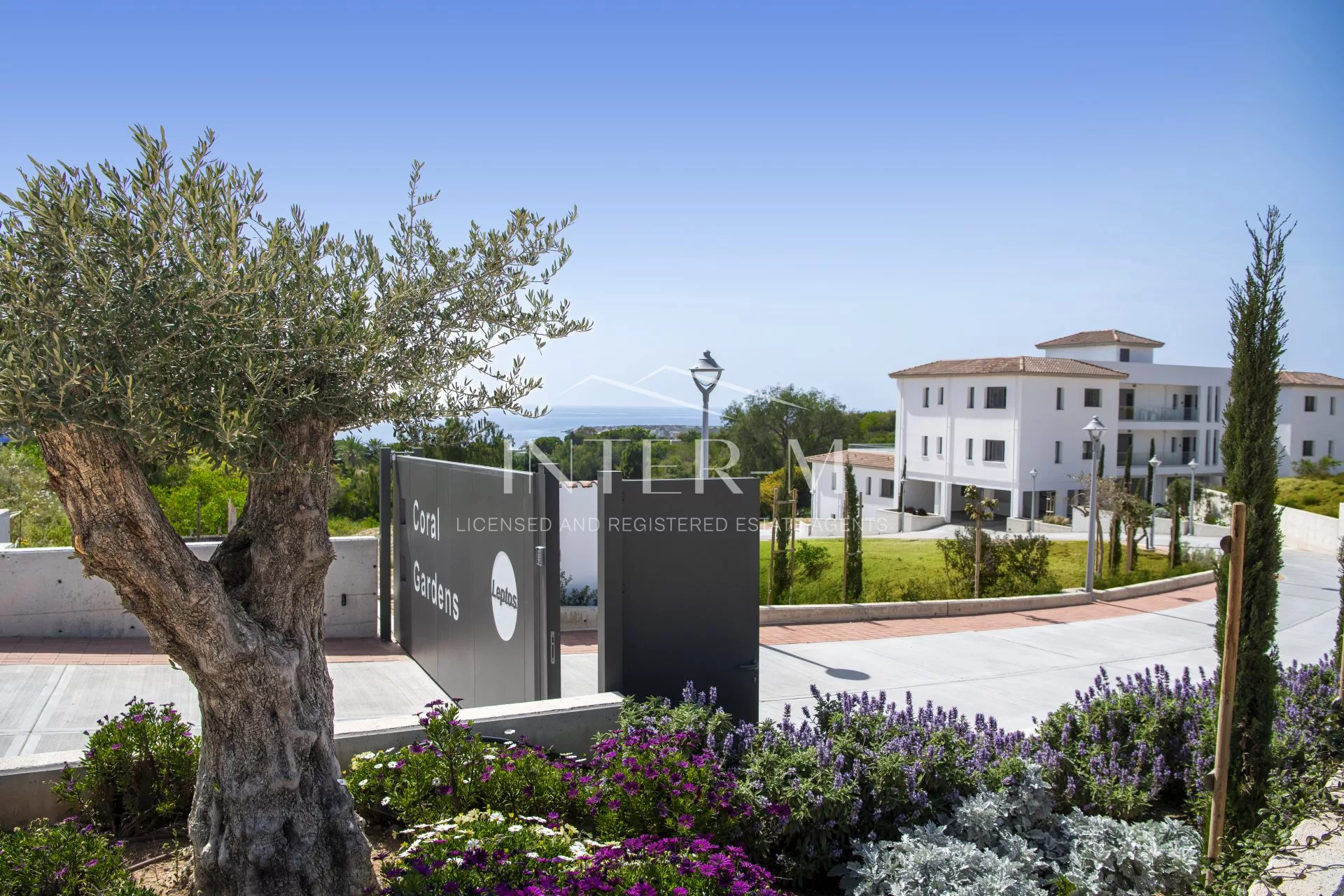 Luxury Villa for Sale – Paphos Town, Cyprus photo 2