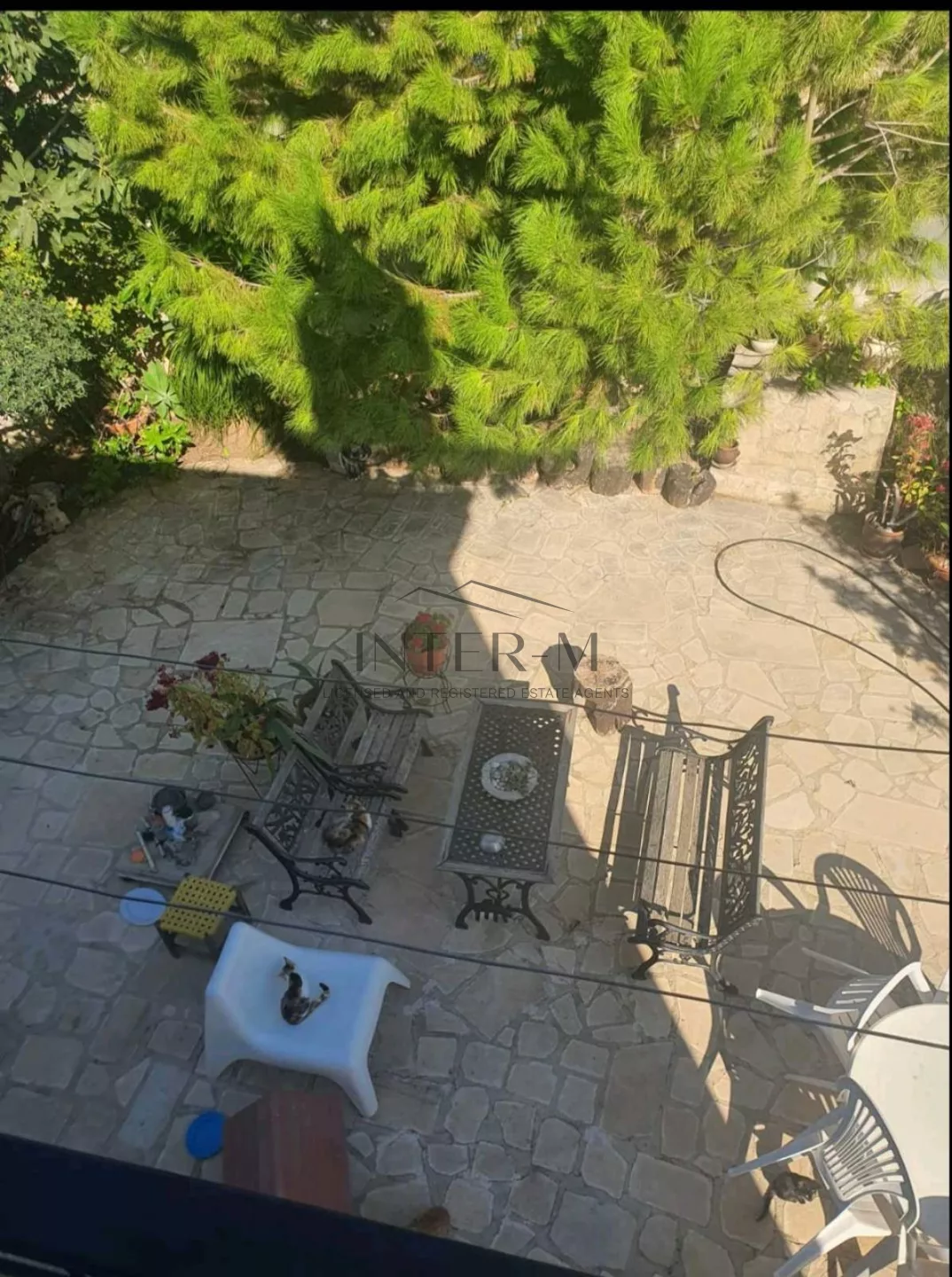 Detached House For Rent In Episkopi, Limassol, Cyprus  (4 Bedroom) (4 Bedroom) φωτογραφία 6