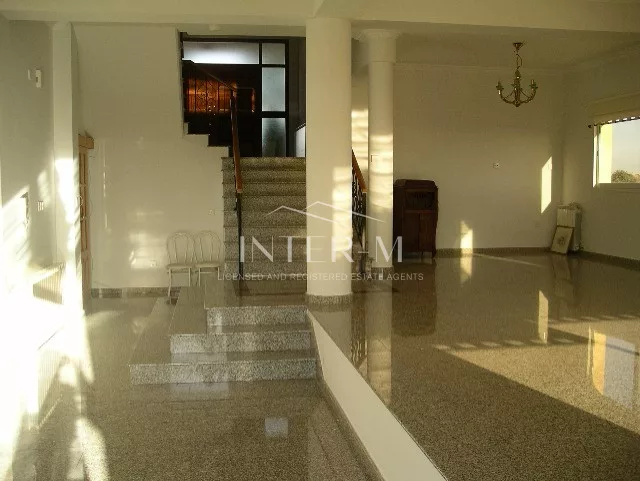 Huge Villa For Sale In Lefkothea (6 Bedroom) φωτογραφία 18