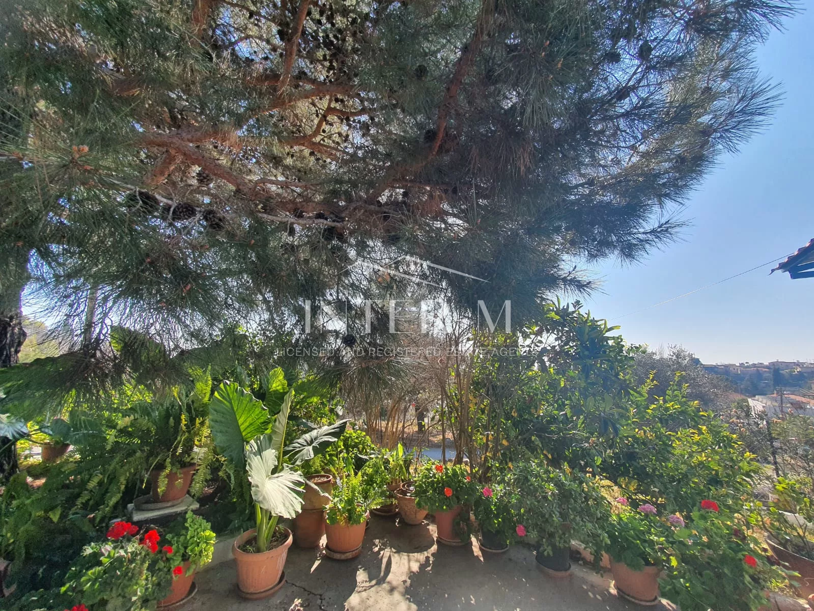 Residential Land And Small House For Sale In Pachna (2 Bedroom) φωτογραφία 25