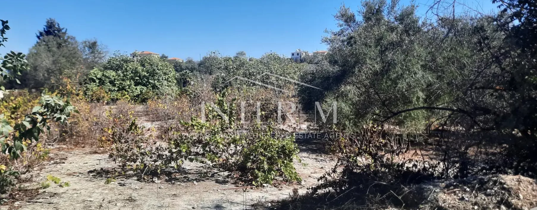 Residential Land For Sale In Tsada, Paphos, Cyprus(2054 Sq.m) φωτογραφία 4