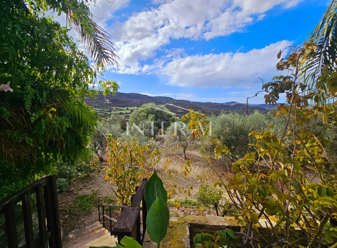 Amazing Land For Sale,In Kalavasos, Larnaca, Cyprus photo 13