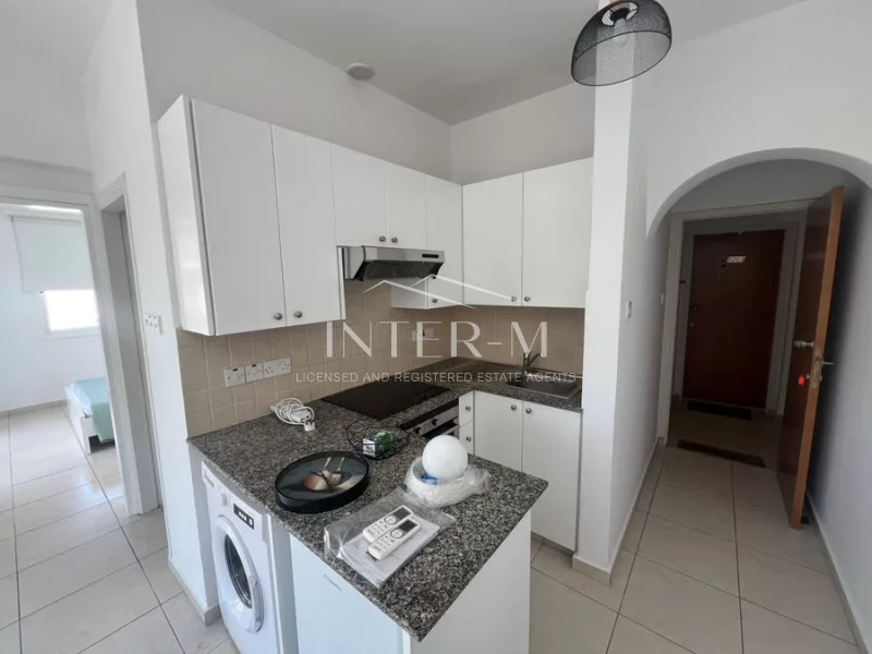 Renovated One-Bedrooms Apartment (1 Bedroom) photo 3