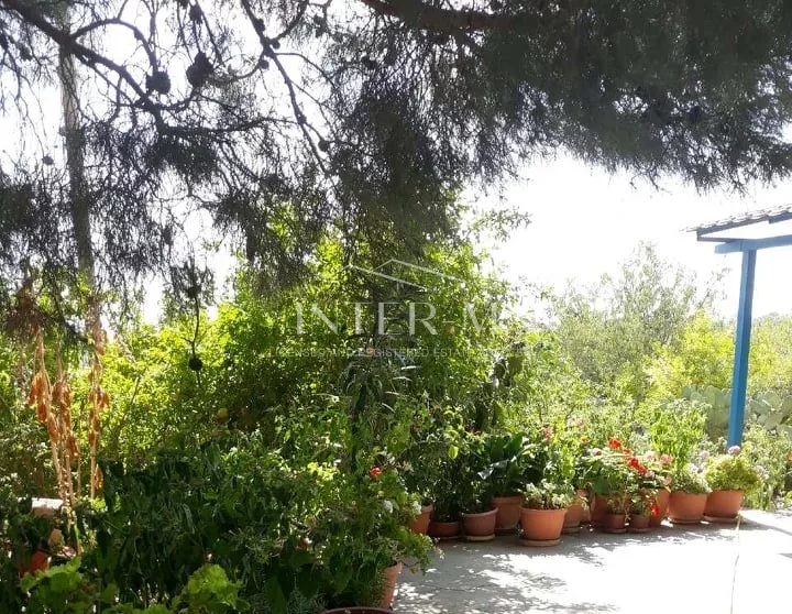 Residential Land And Small House For Sale In Pachna (2 Bedroom) φωτογραφία 3
