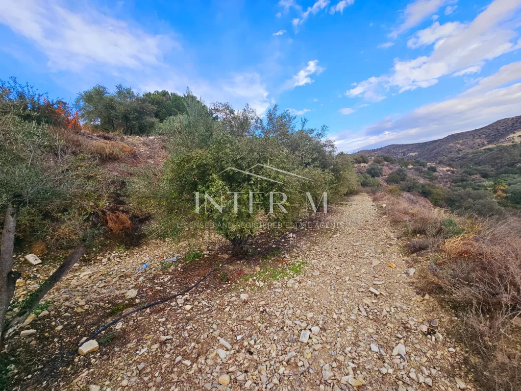 Amazing Land For Sale,In Kalavasos, Larnaca, Cyprus photo 11