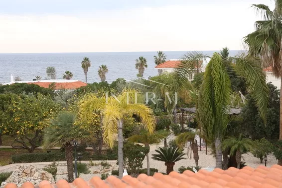 Villa For Sale In Paphos φωτογραφία 22