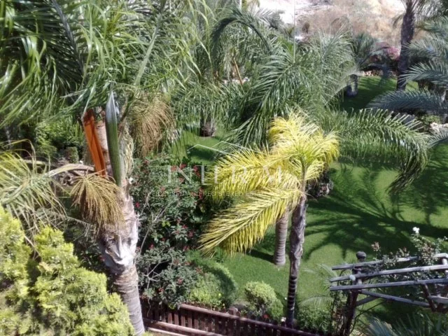 Massive Villa In Germasogeia (5 Bedroom) photo 24