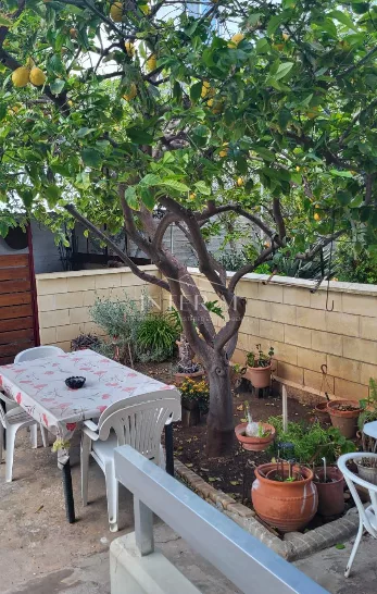 Spacious 3-Bedroom Ground Floor Apartment For Rent – Ekali, Limassol,Cyprus (3 Bedroom) photo 4