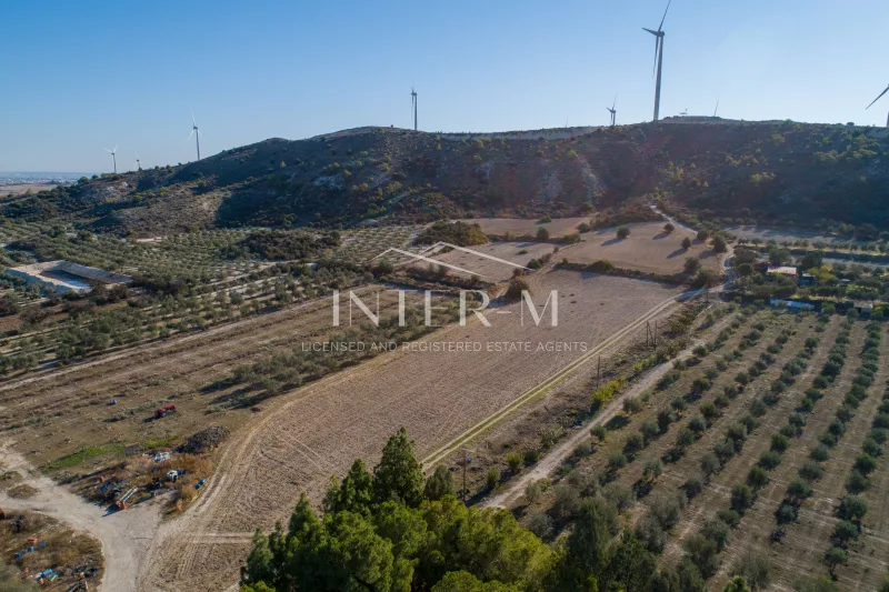 Agricultural Field In Alethrico, Larnaca (10368 sq.m) photo 2