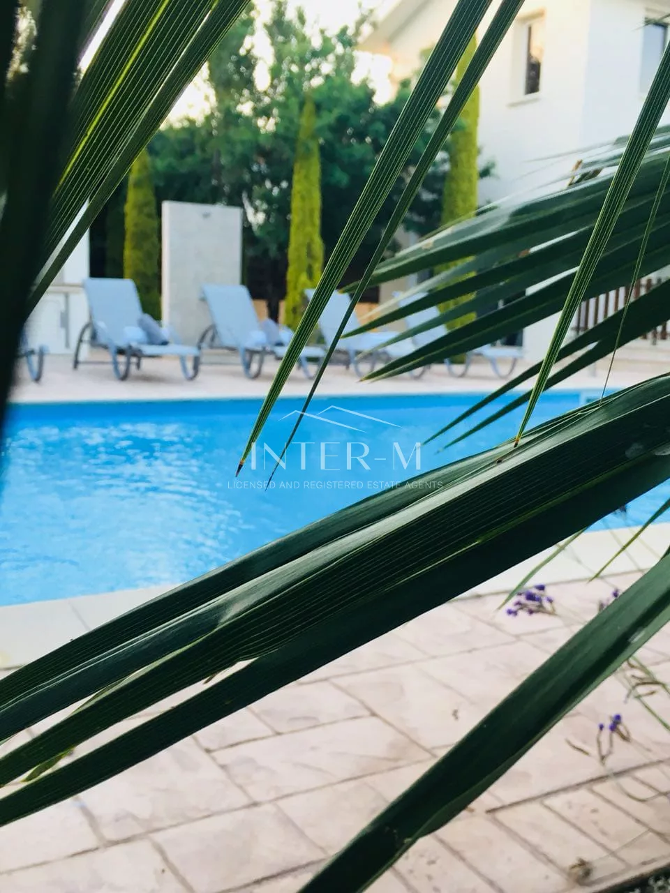 Villa For Rent In Pervolia, Larnaca (3 Bedroom) photo 16