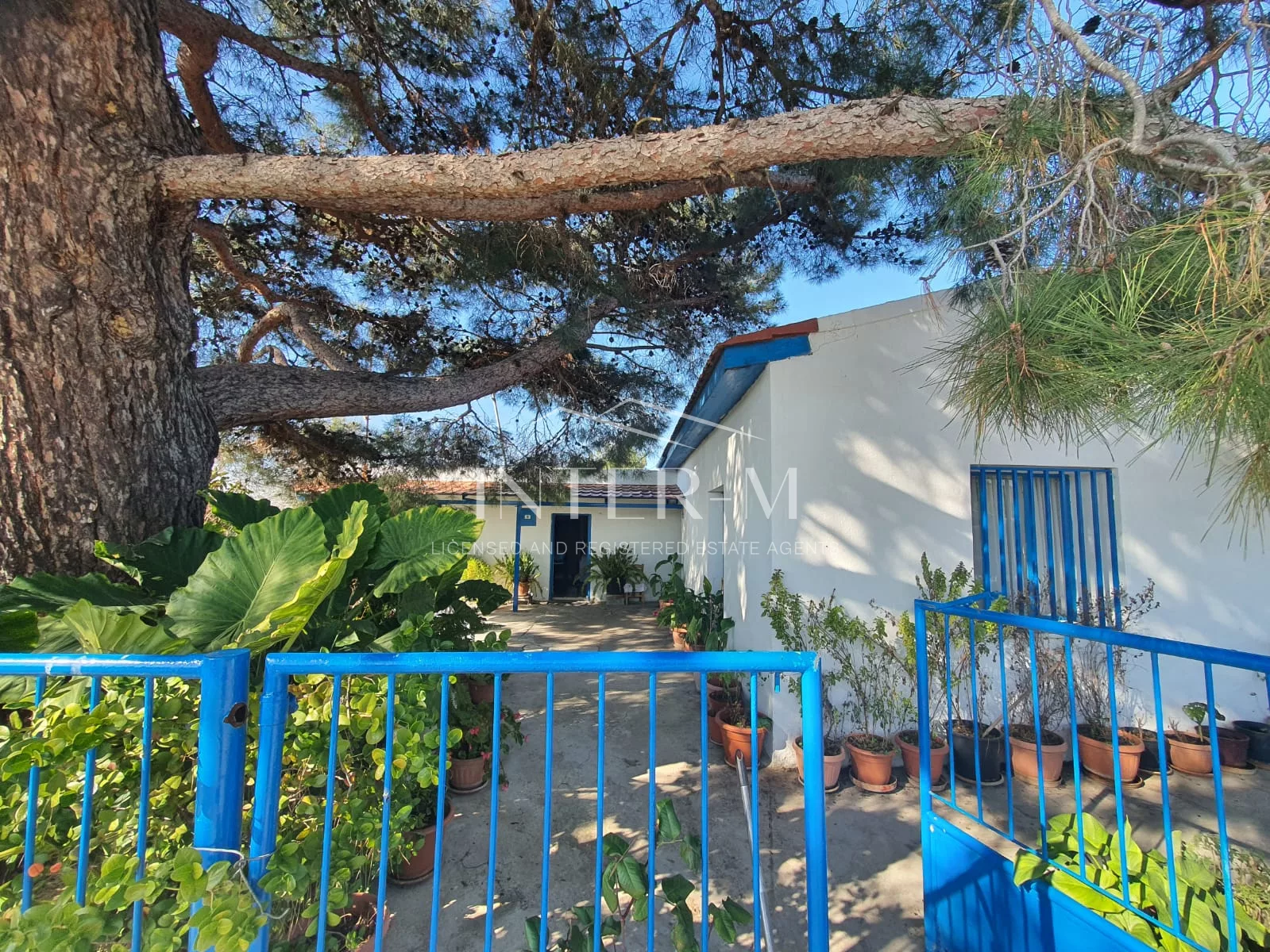 Residential Land And Small House For Sale In Pachna (2 Bedroom) φωτογραφία 12