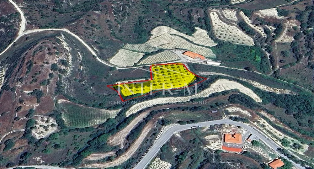 Residential Land For Sale In Dora, Limassol, Cyprus(5686 Sq.m) φωτογραφία 3