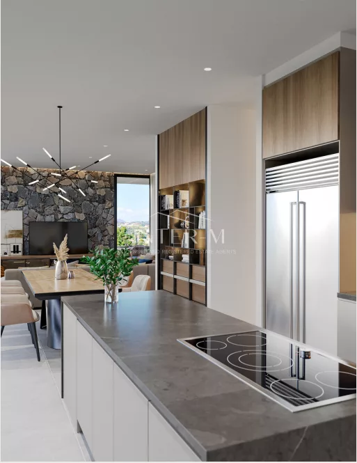 Luxury Villas For Sale In Pareklisia , Cyprus  (4 Bedroom) photo 6